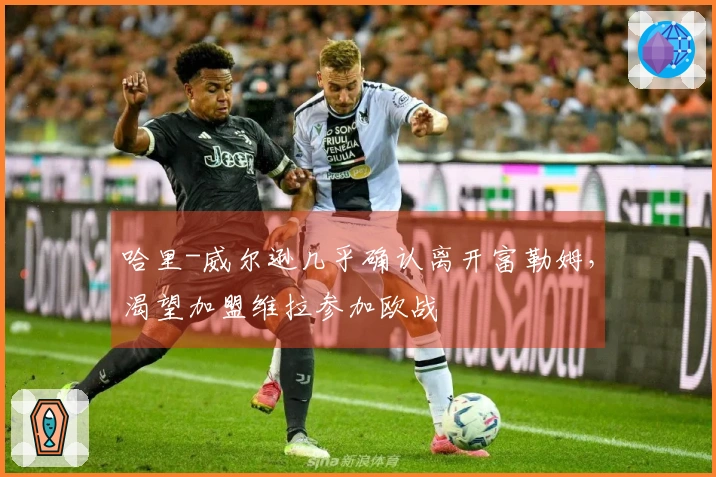 哈里-威尔逊几乎确认离开富勒姆，渴望加盟维拉参加欧战